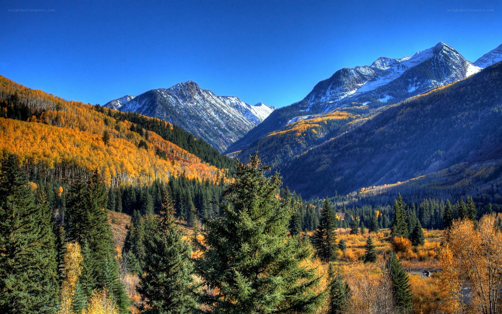 Autumn mountains with snow