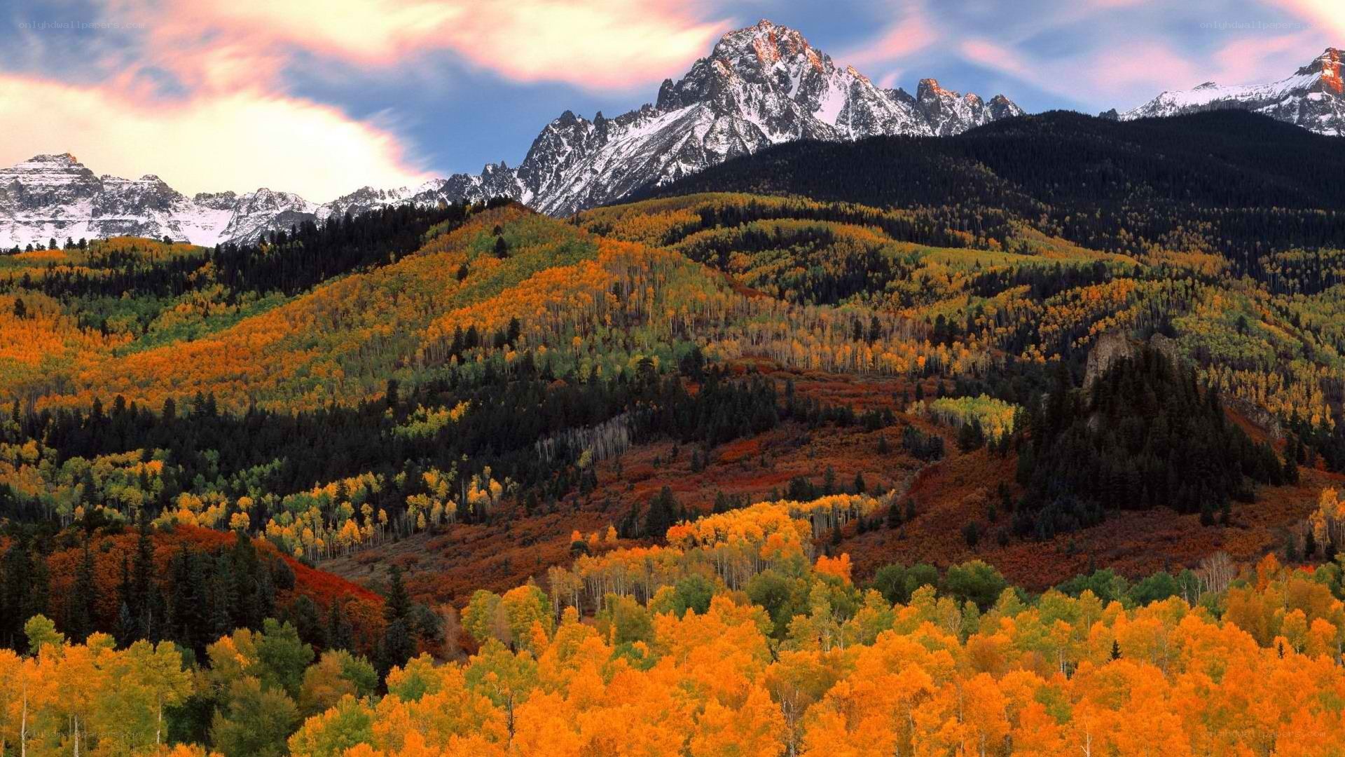 Autumn mountains with snow