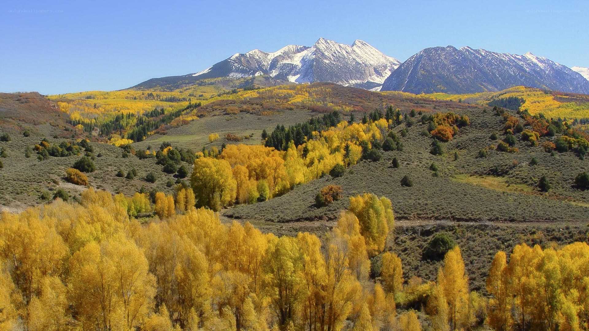 Autumn mountains with snow