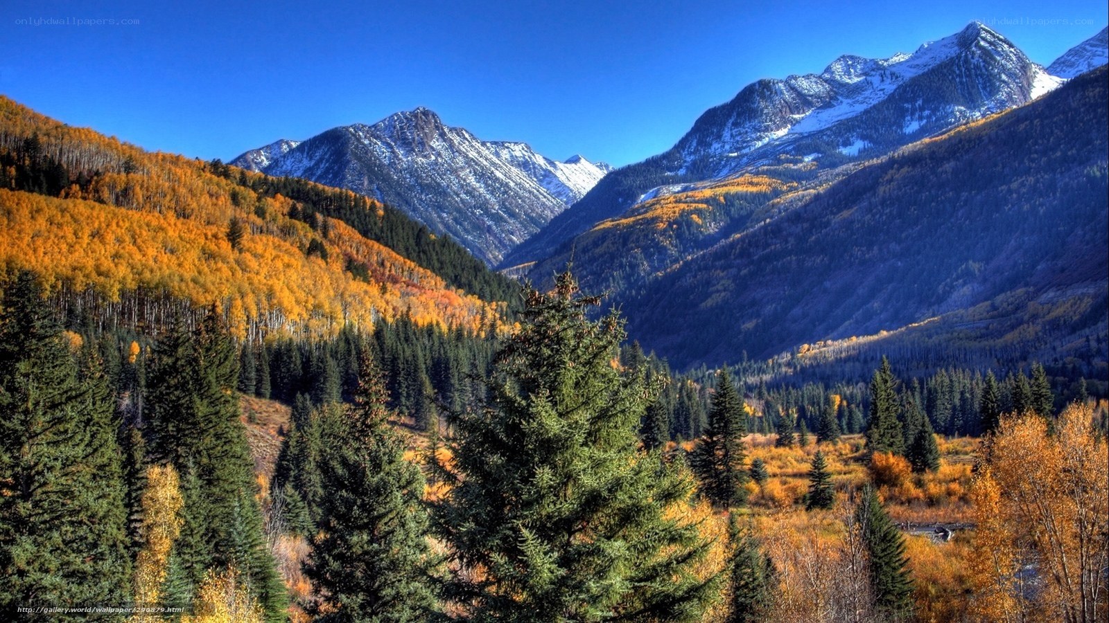 Autumn mountains with snow