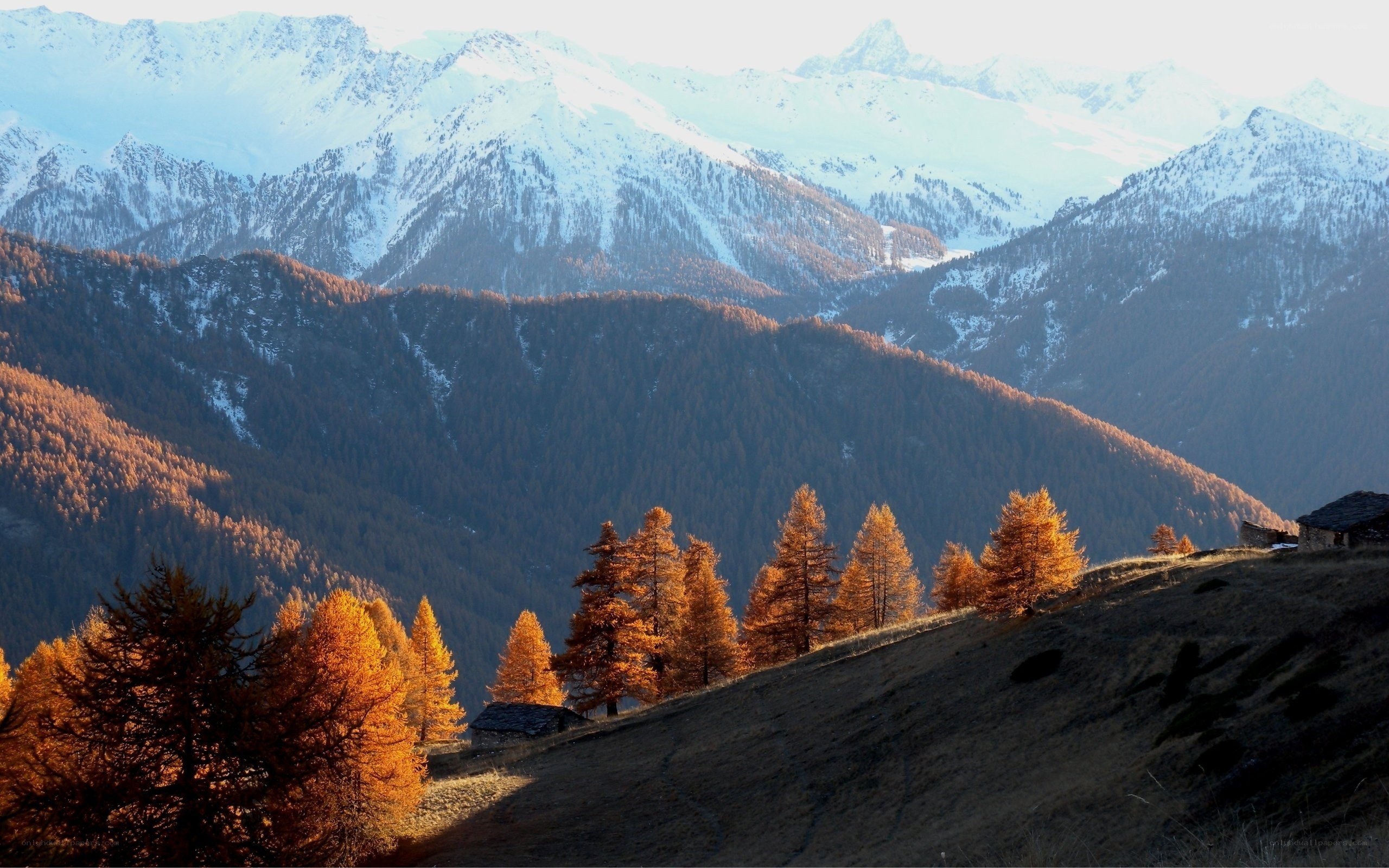 Autumn mountains with snow