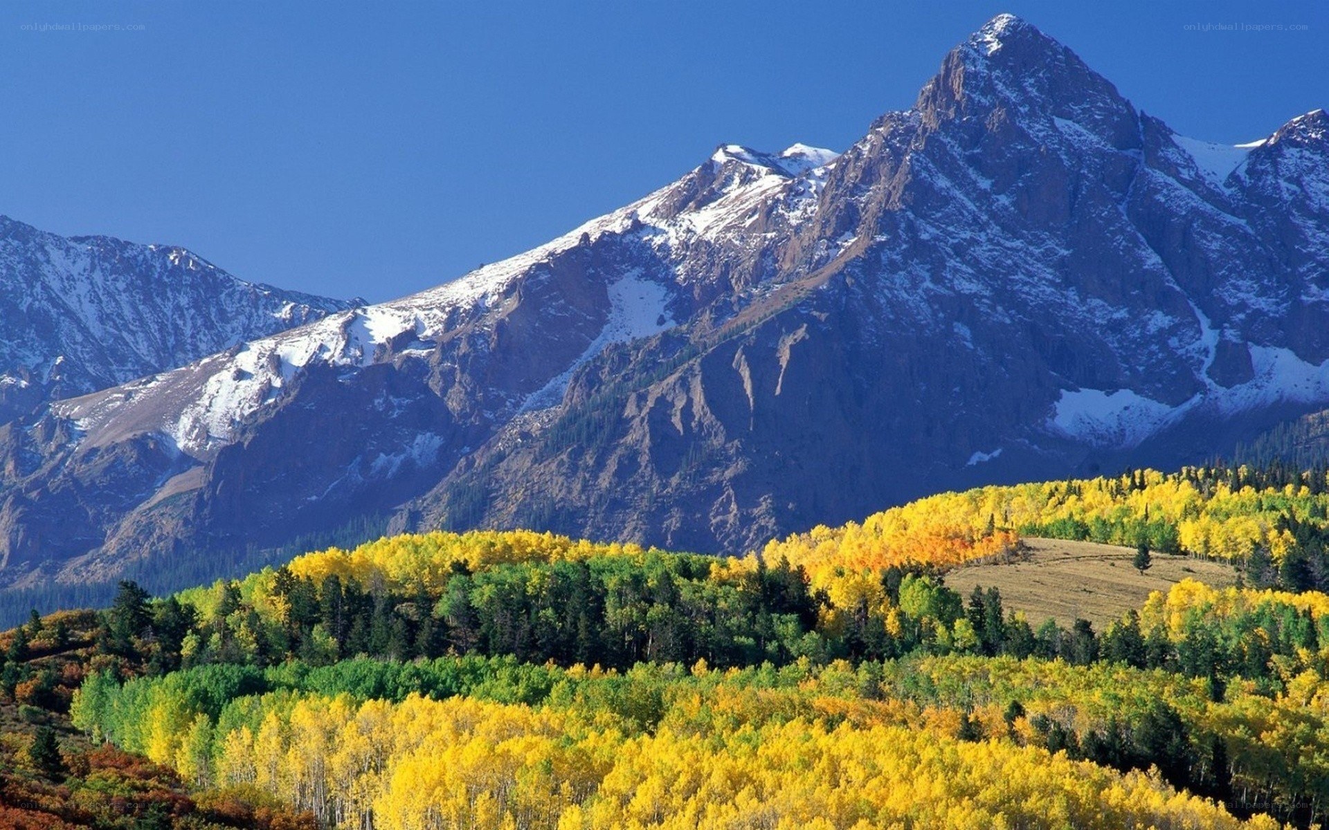 Autumn mountains with snow