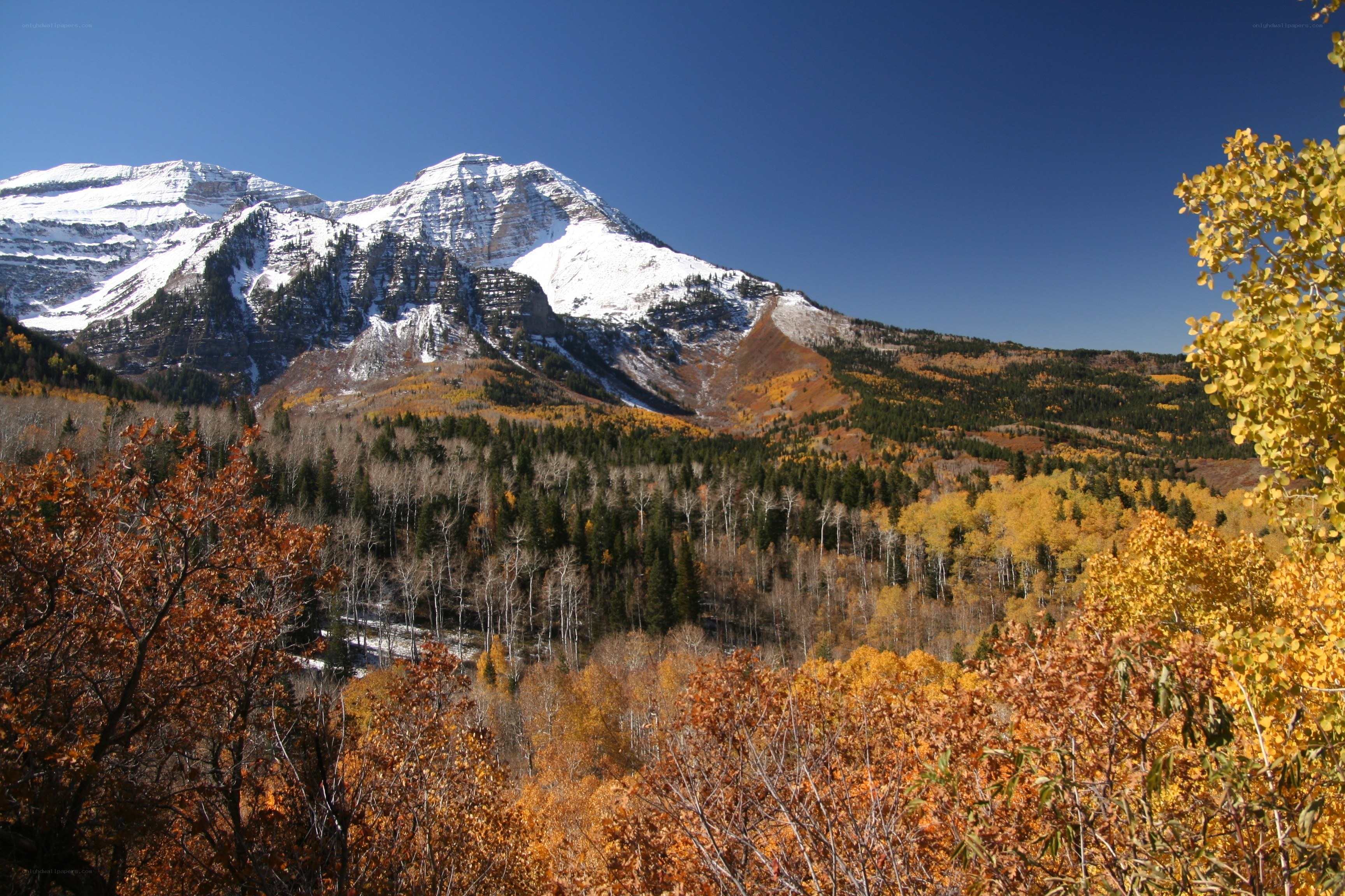 Autumn mountains with snow
