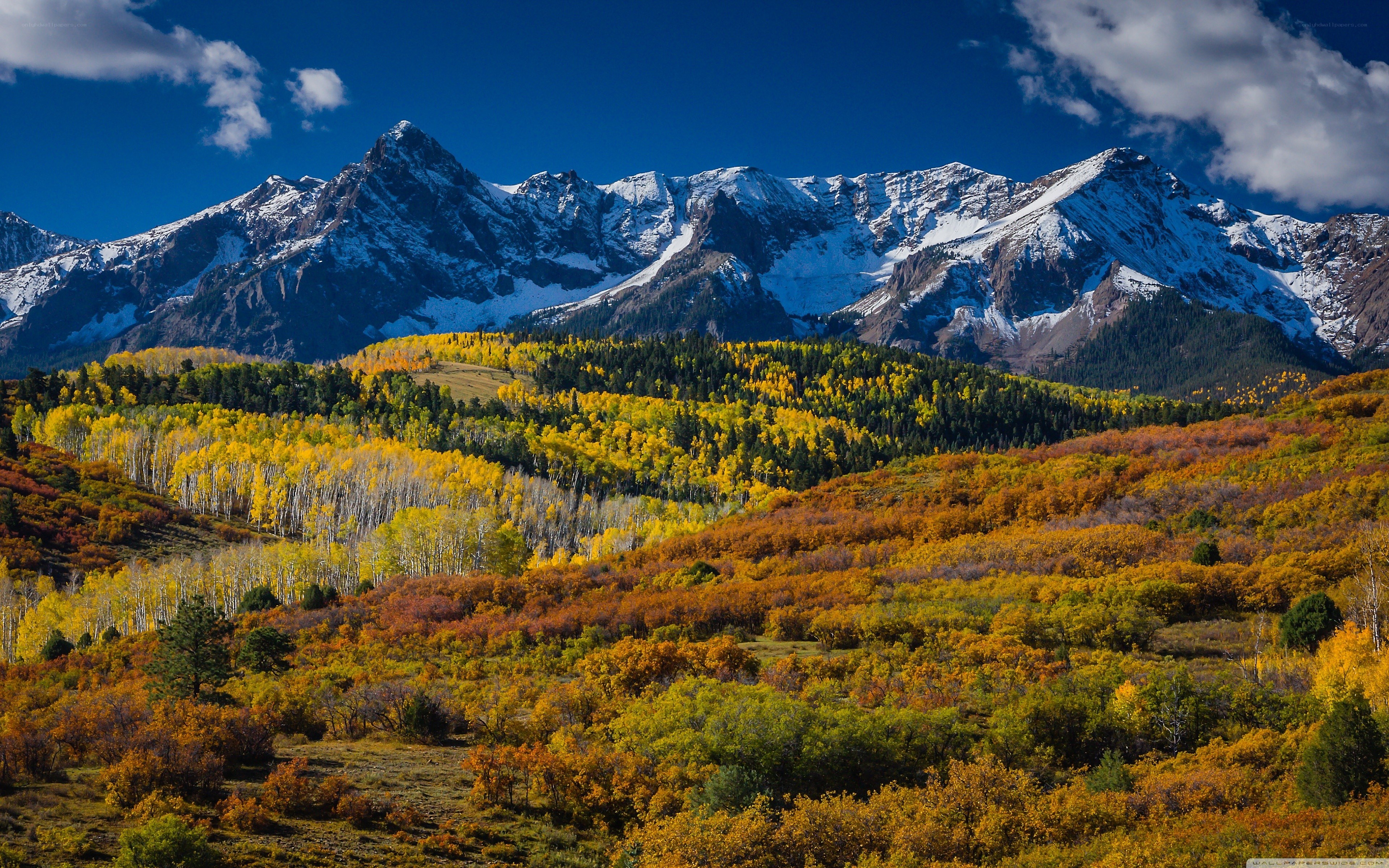 Autumn mountains with snow