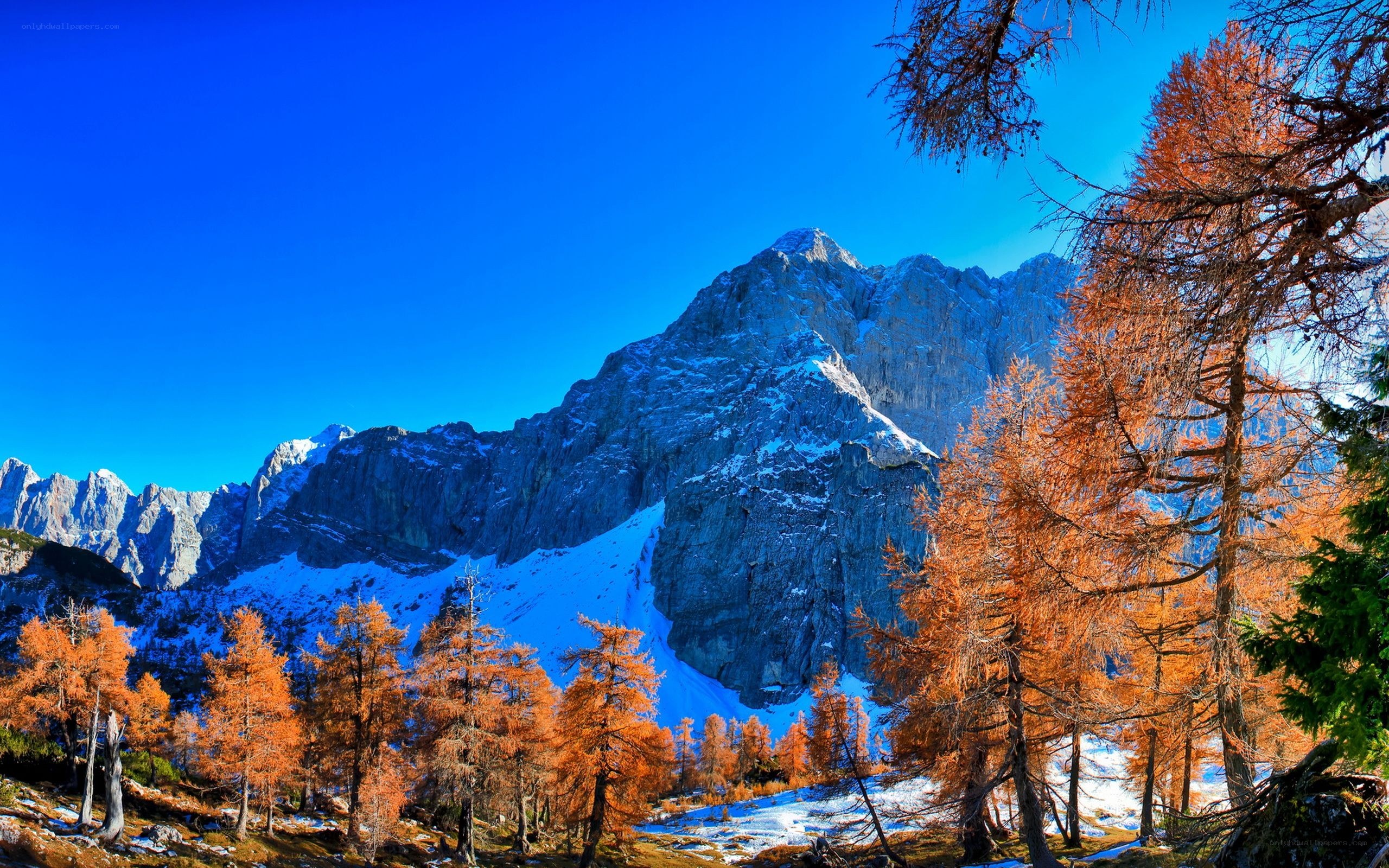 Autumn mountains with snow