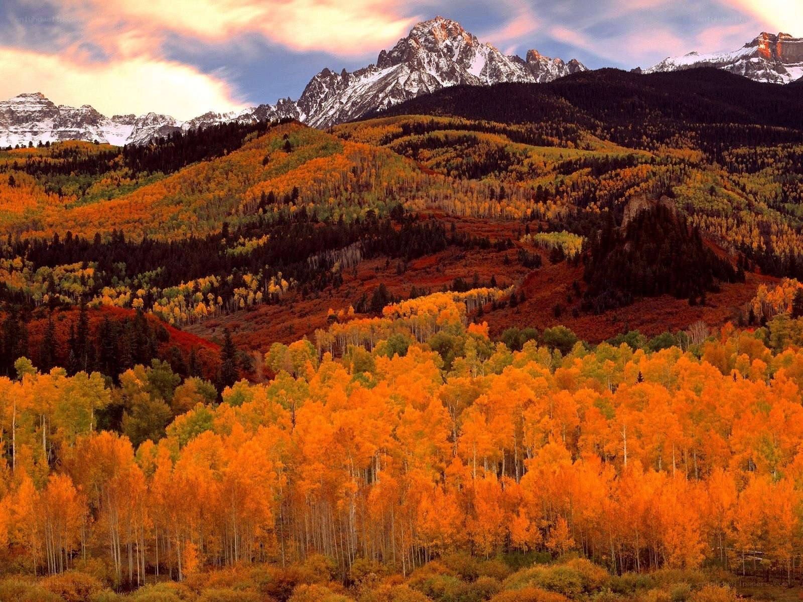 Autumn mountains with snow