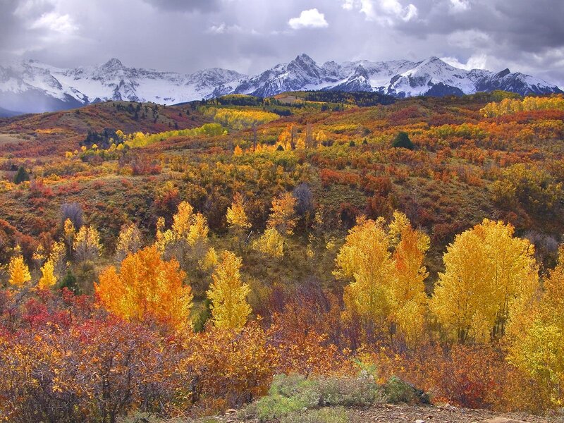 Autumn mountains with snow