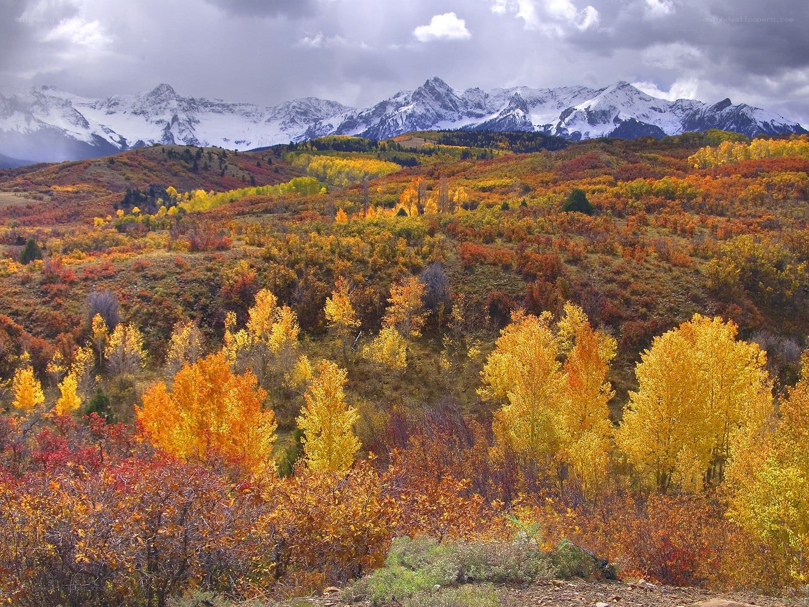 Autumn mountains with snow