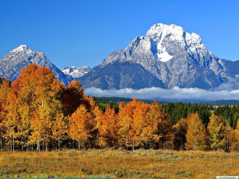 Autumn mountains with snow