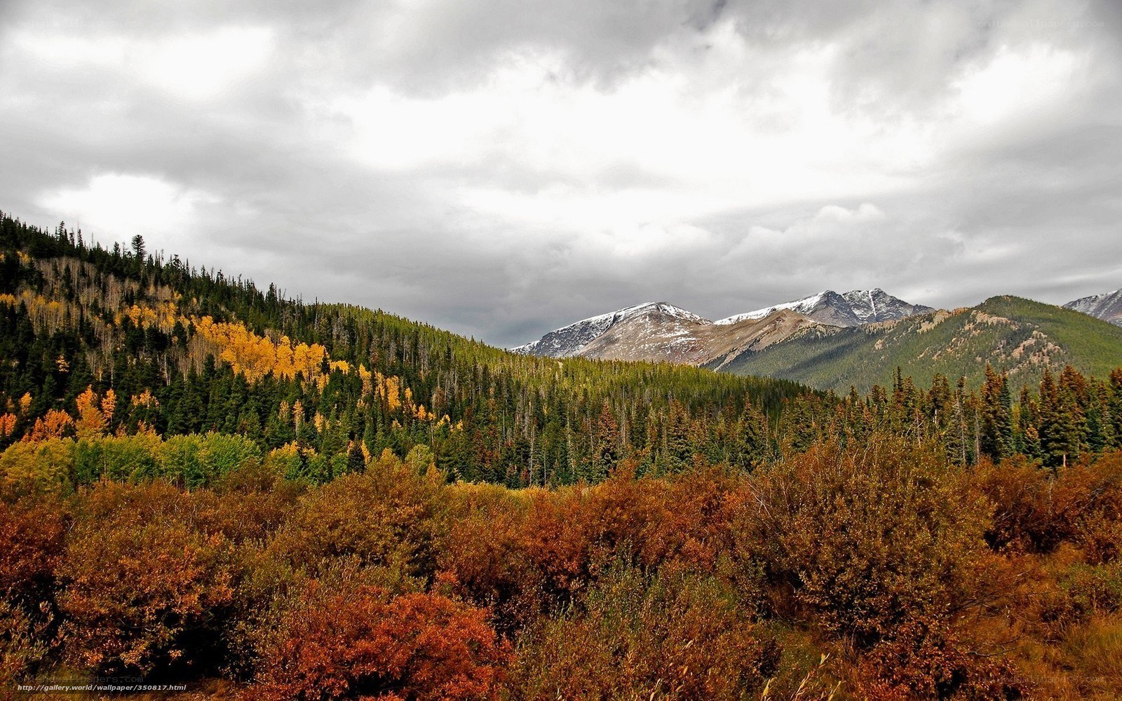 Autumn mountains with snow