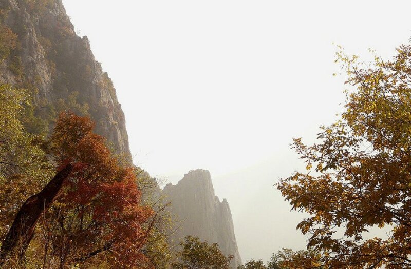 autumn mountains with trees