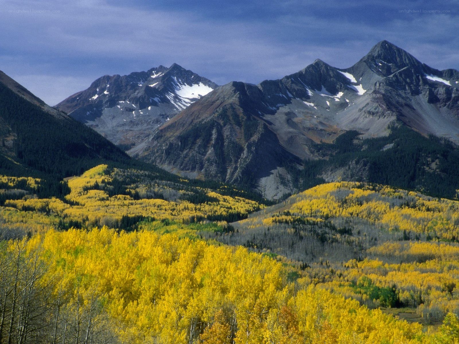 Autumn mountains with yellow trees