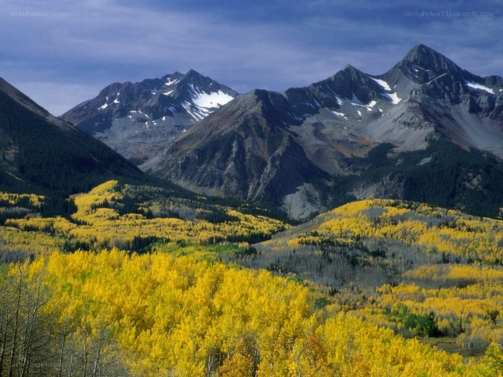 Autumn mountains with yellow trees