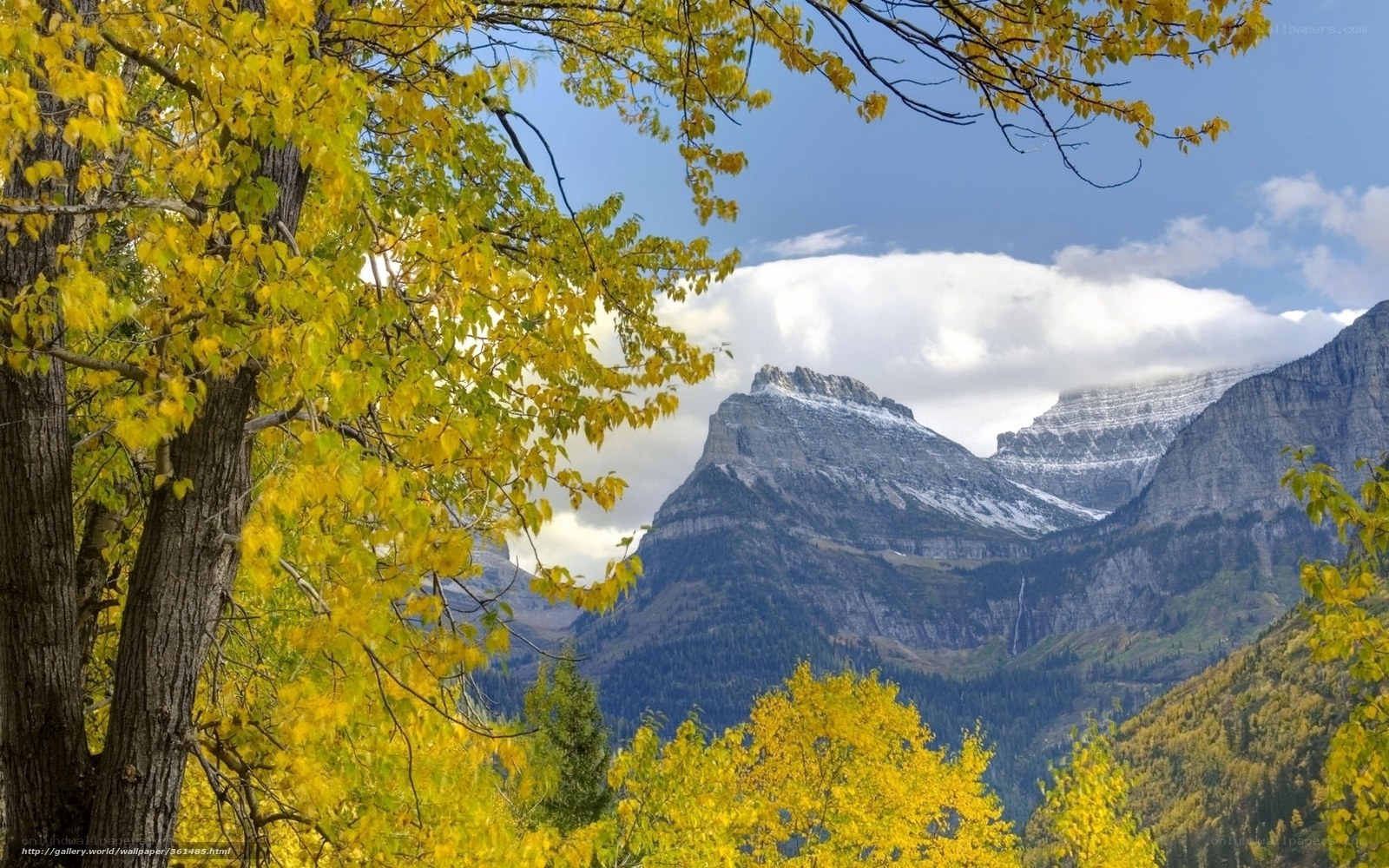 Autumn mountains with yellow trees
