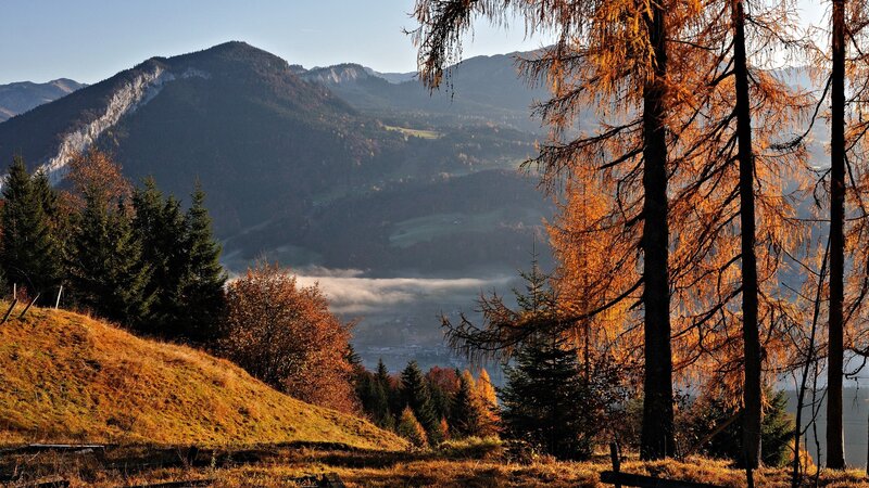 Autumn Mountainscape — Orange, Serene