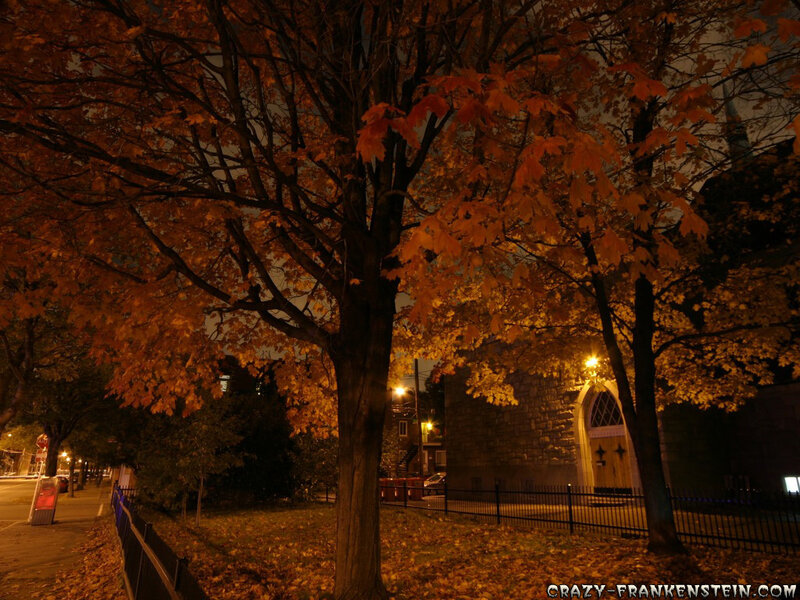 Autumn night by the church