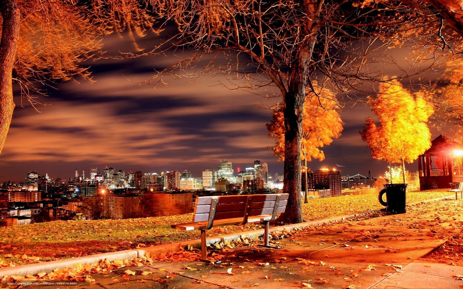 Autumn night city view