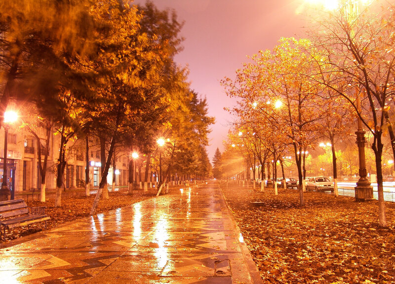 Autumn night in the city
