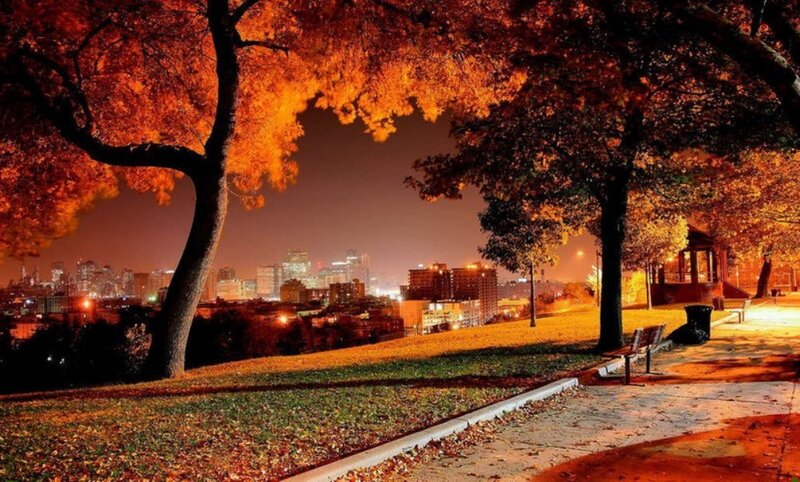 Autumn night in the city park