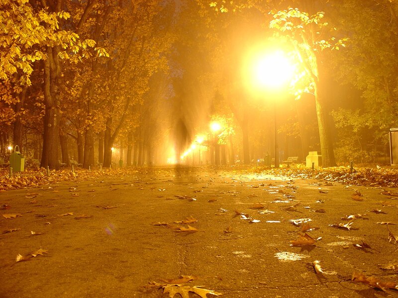 Autumn night in the park