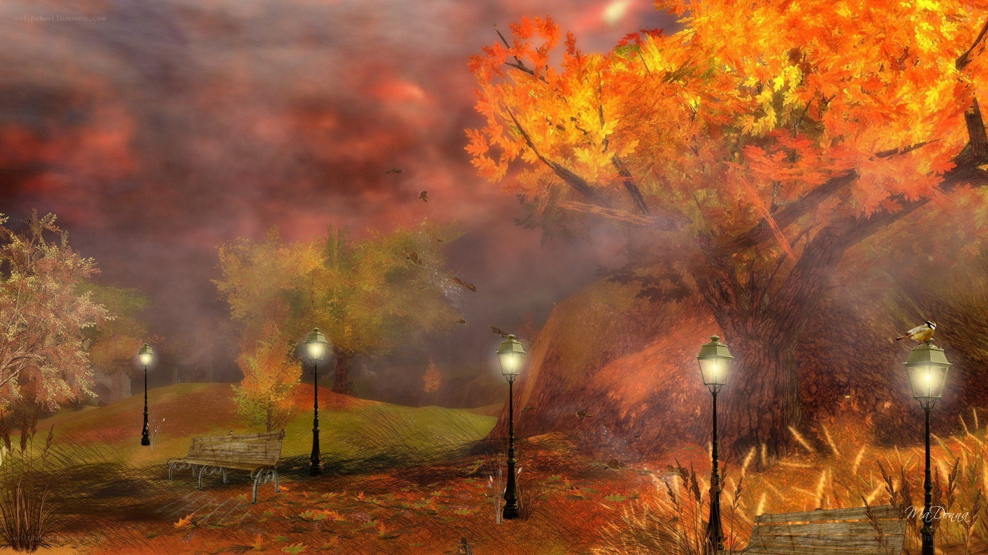 Autumn park at dusk