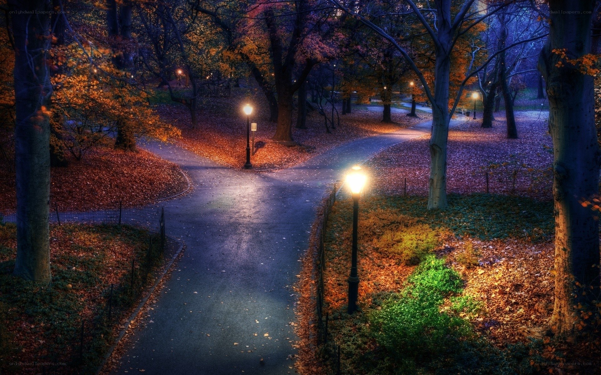 Autumn park at night