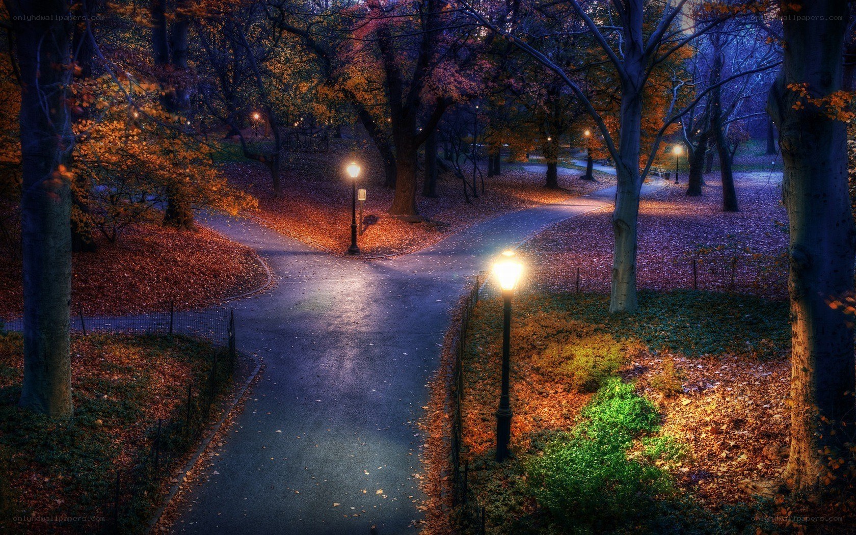 Autumn park at night
