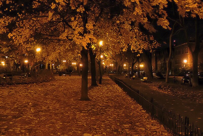 Autumn Park at Night — Orange, Serene