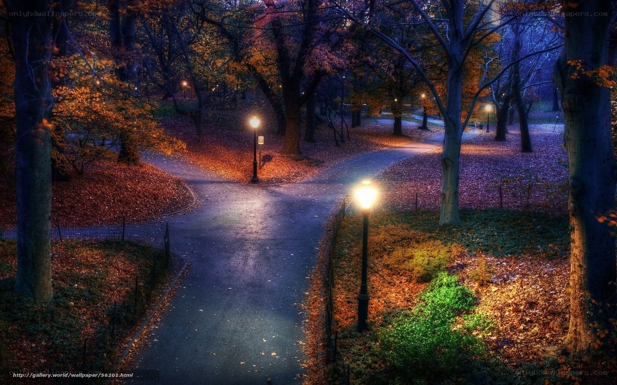 Autumn park at night