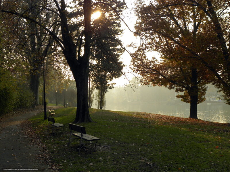 Autumn park at sunrise