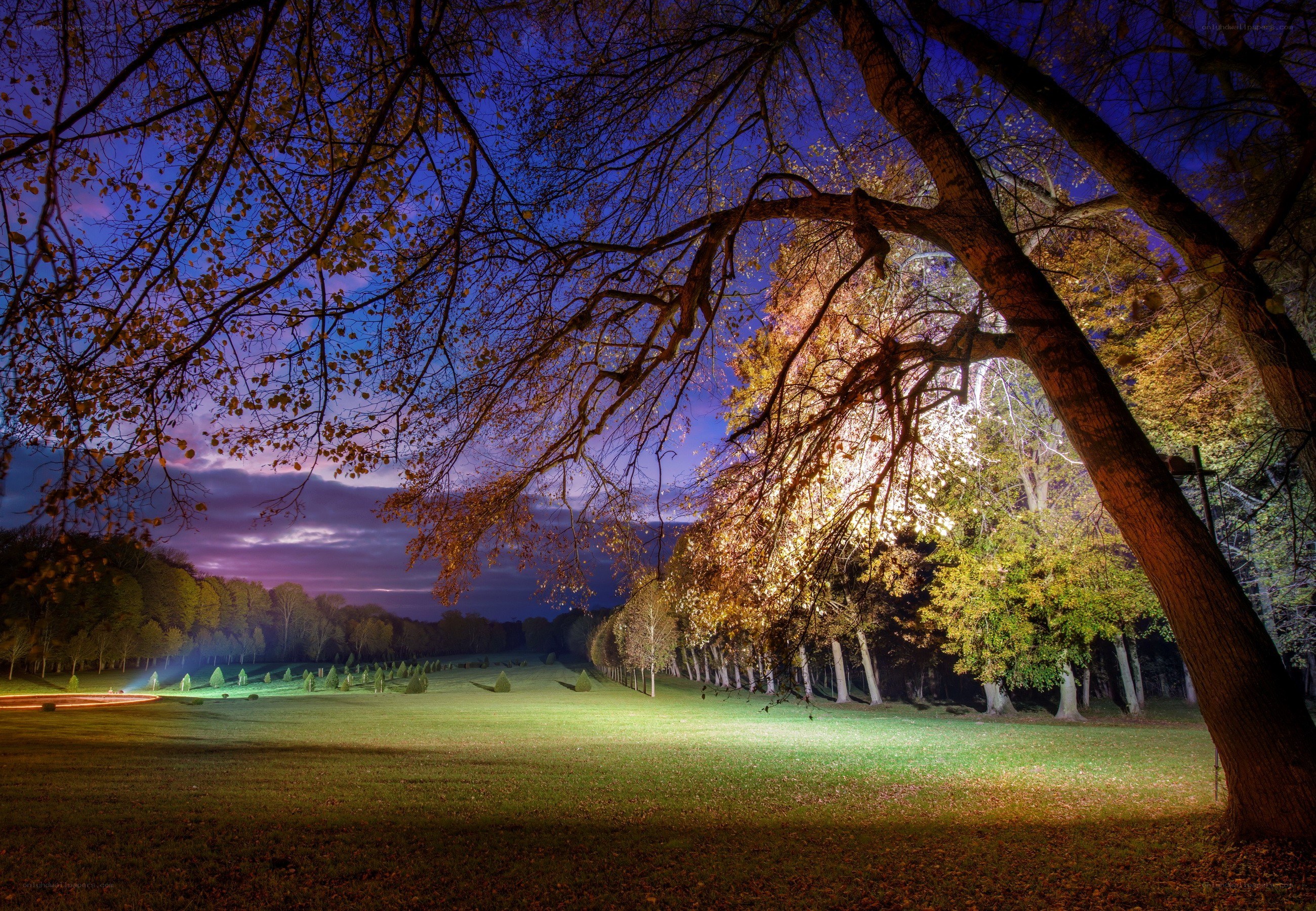 Autumn park at twilight