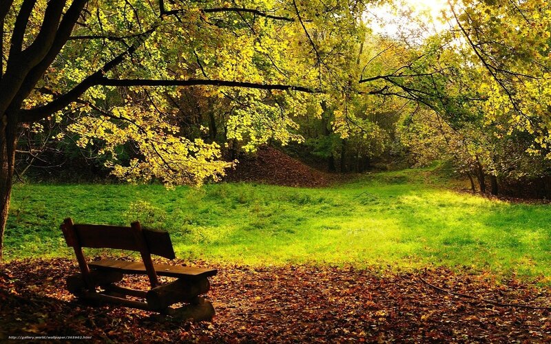 Autumn park bench