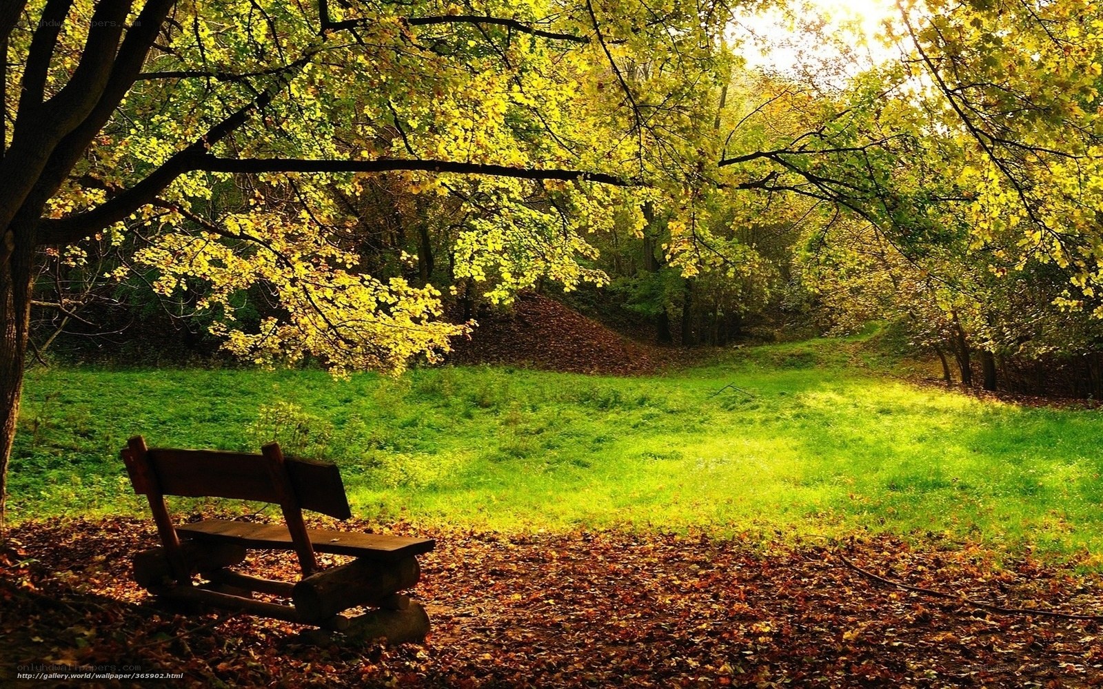 Autumn park bench