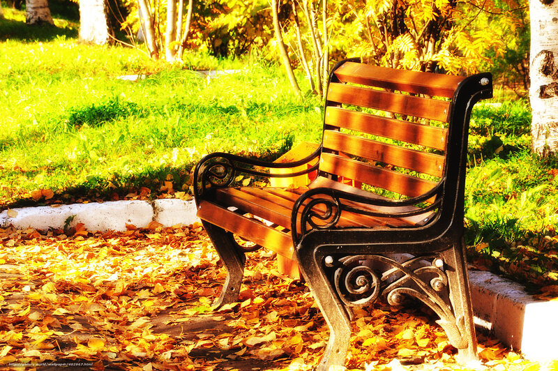 Autumn park bench