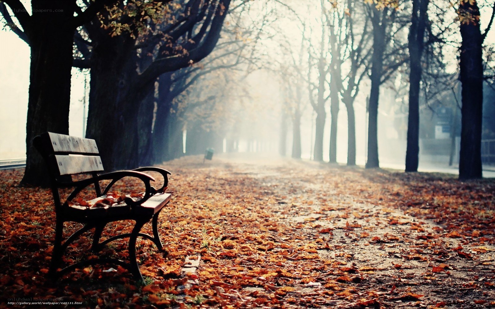 Autumn park bench