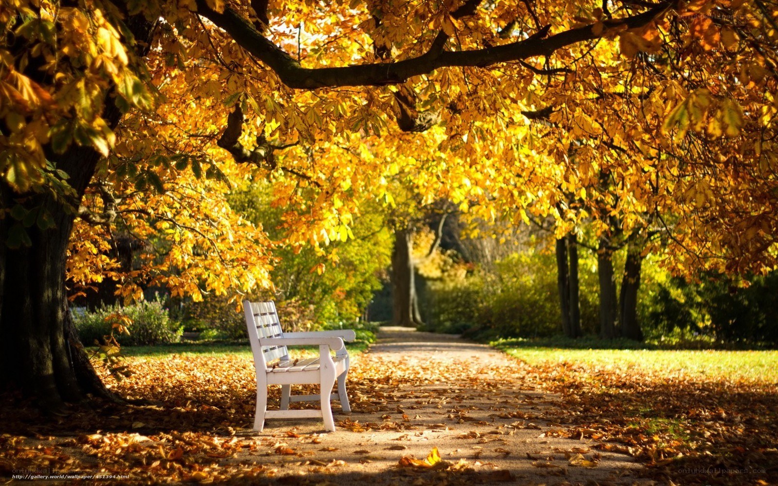 Autumn park bench