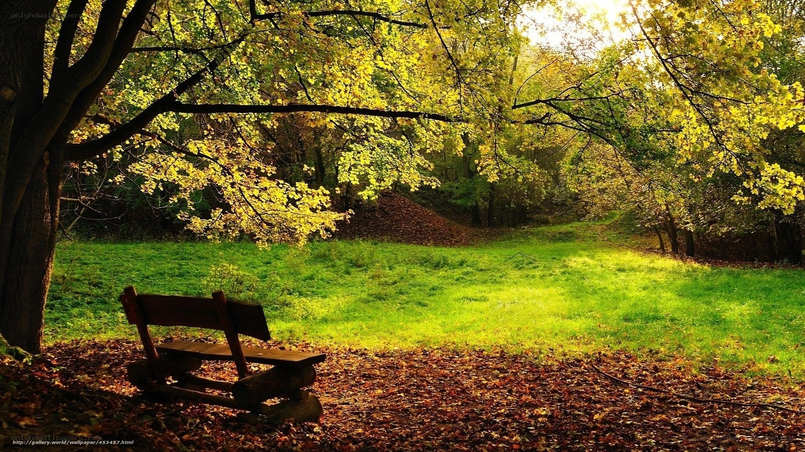 Autumn park bench