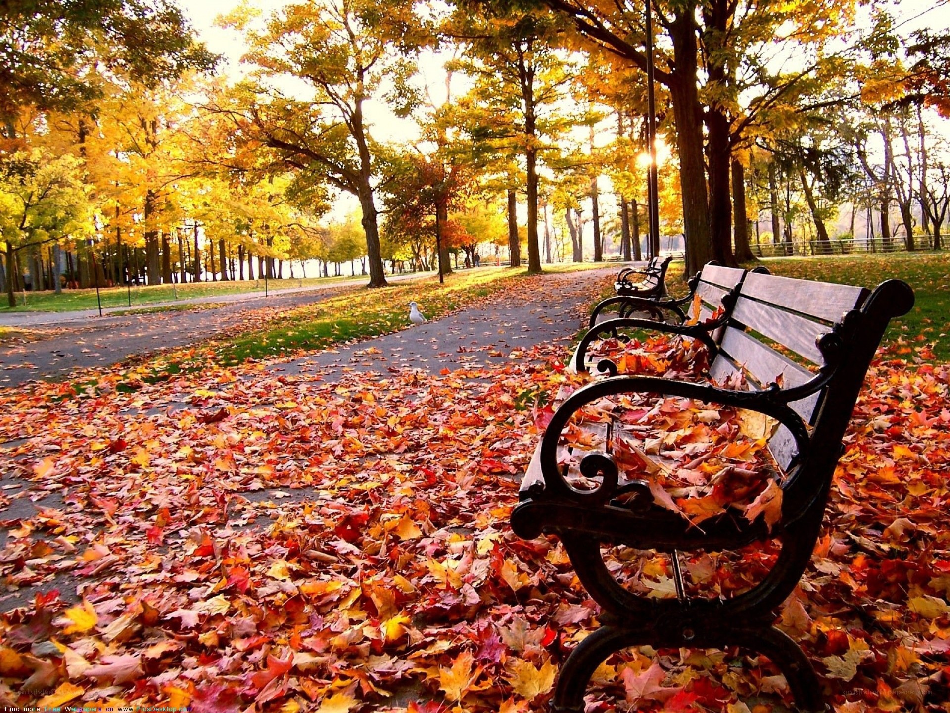 Autumn park bench