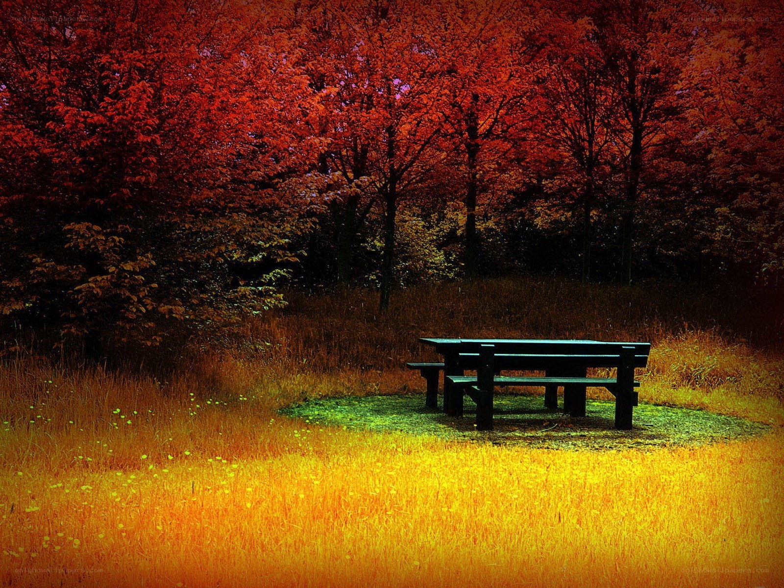 Autumn park bench