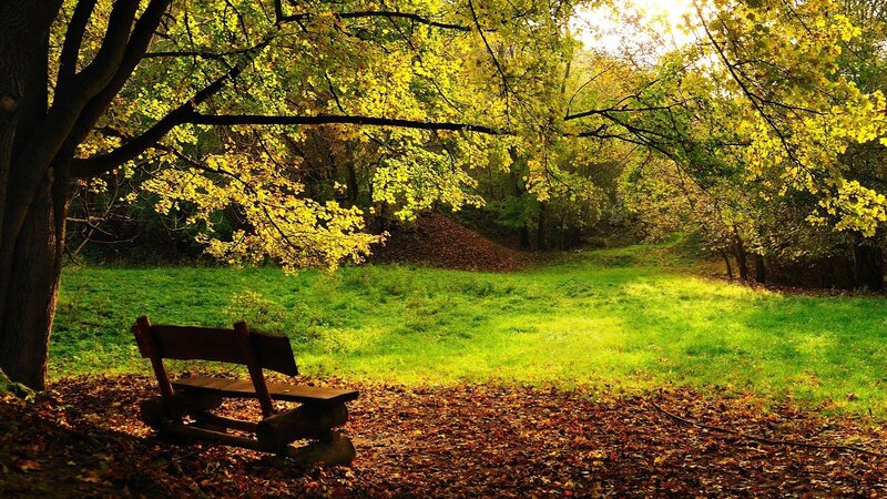 Autumn park bench