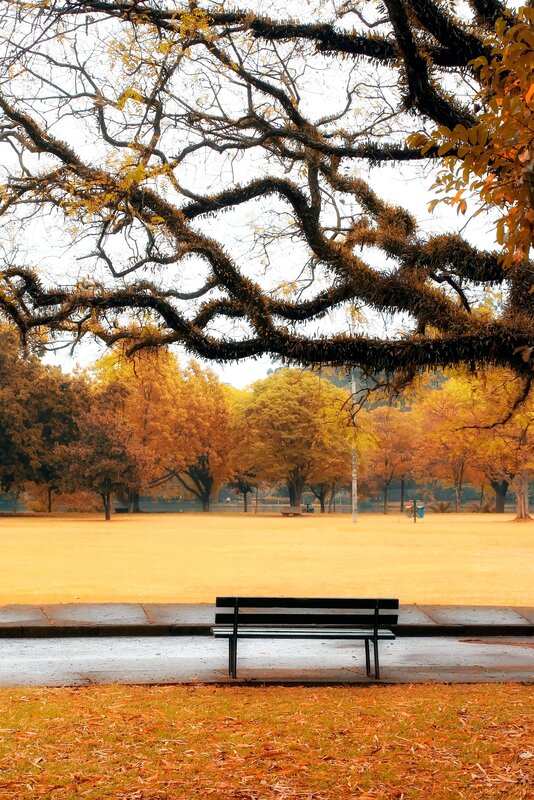 Autumn park bench