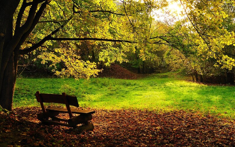 Autumn park bench
