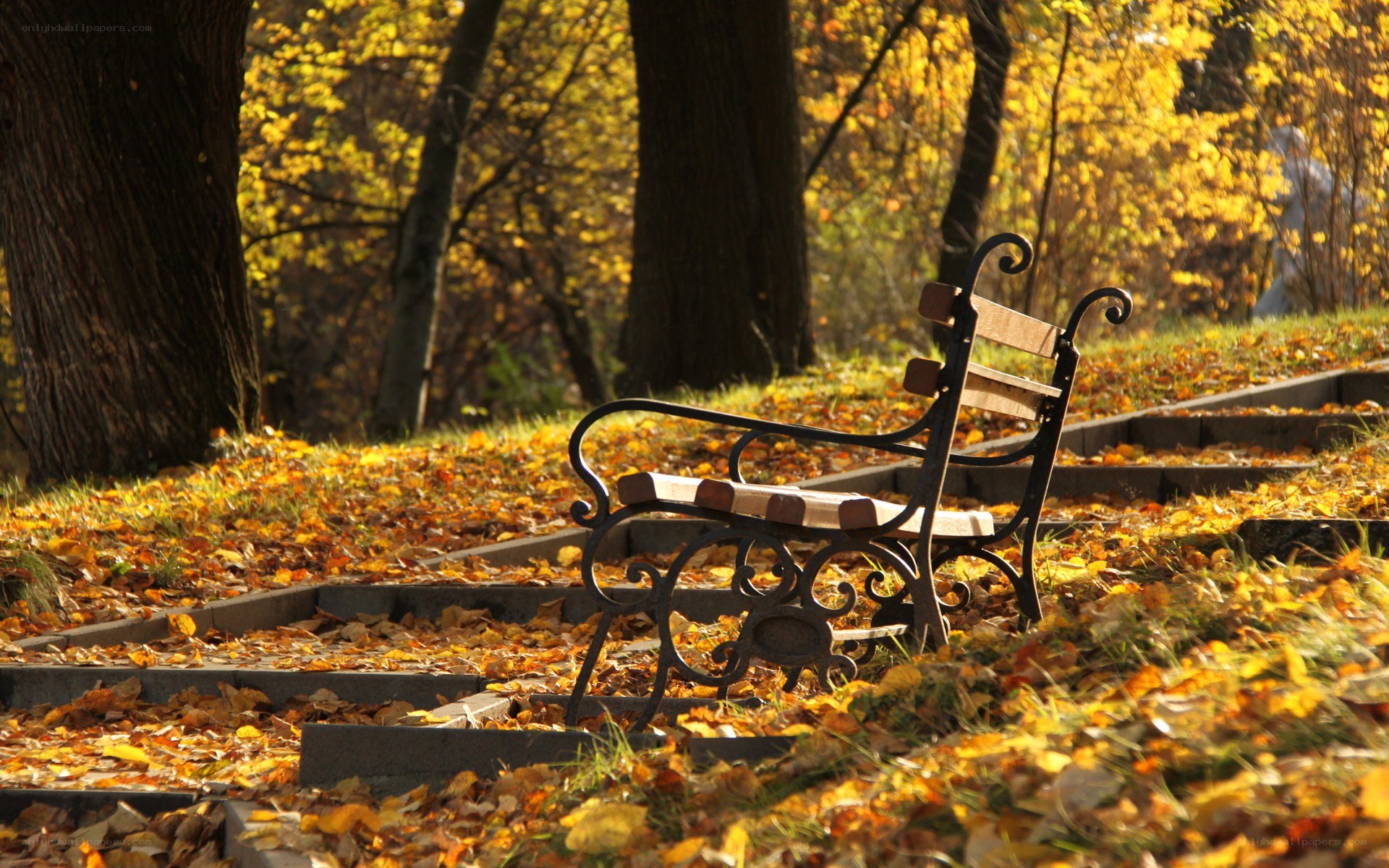 Autumn park bench
