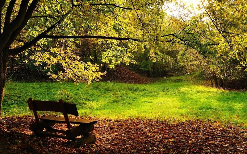 Autumn park bench