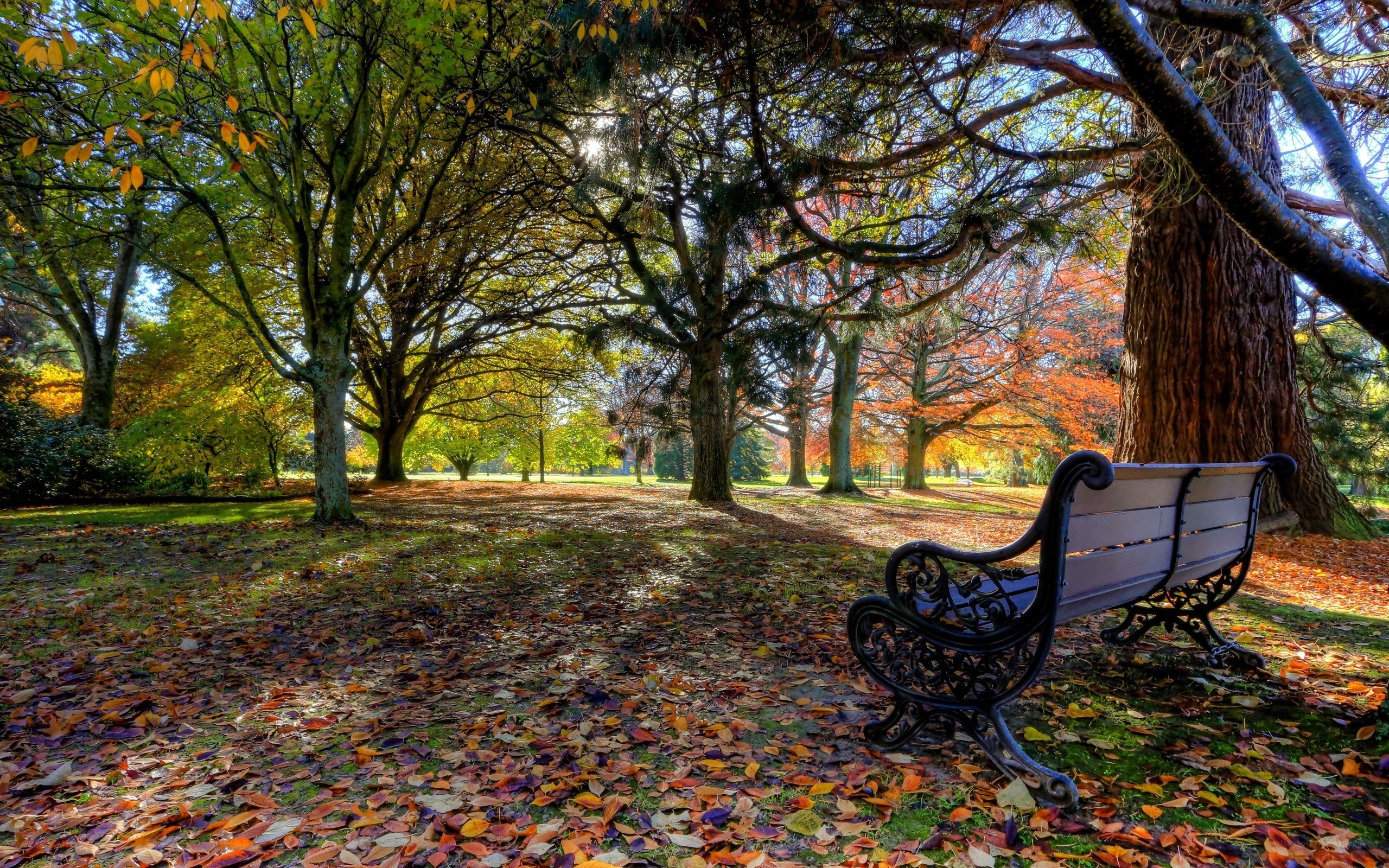 Autumn park bench