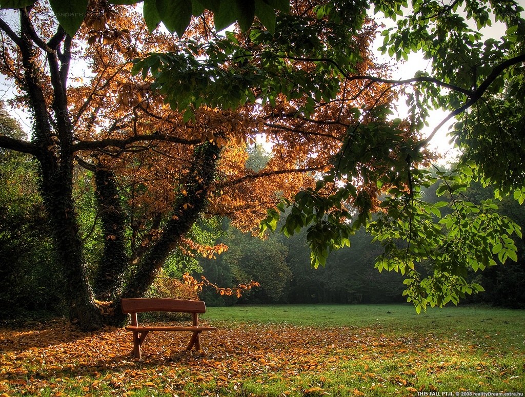 Autumn park bench