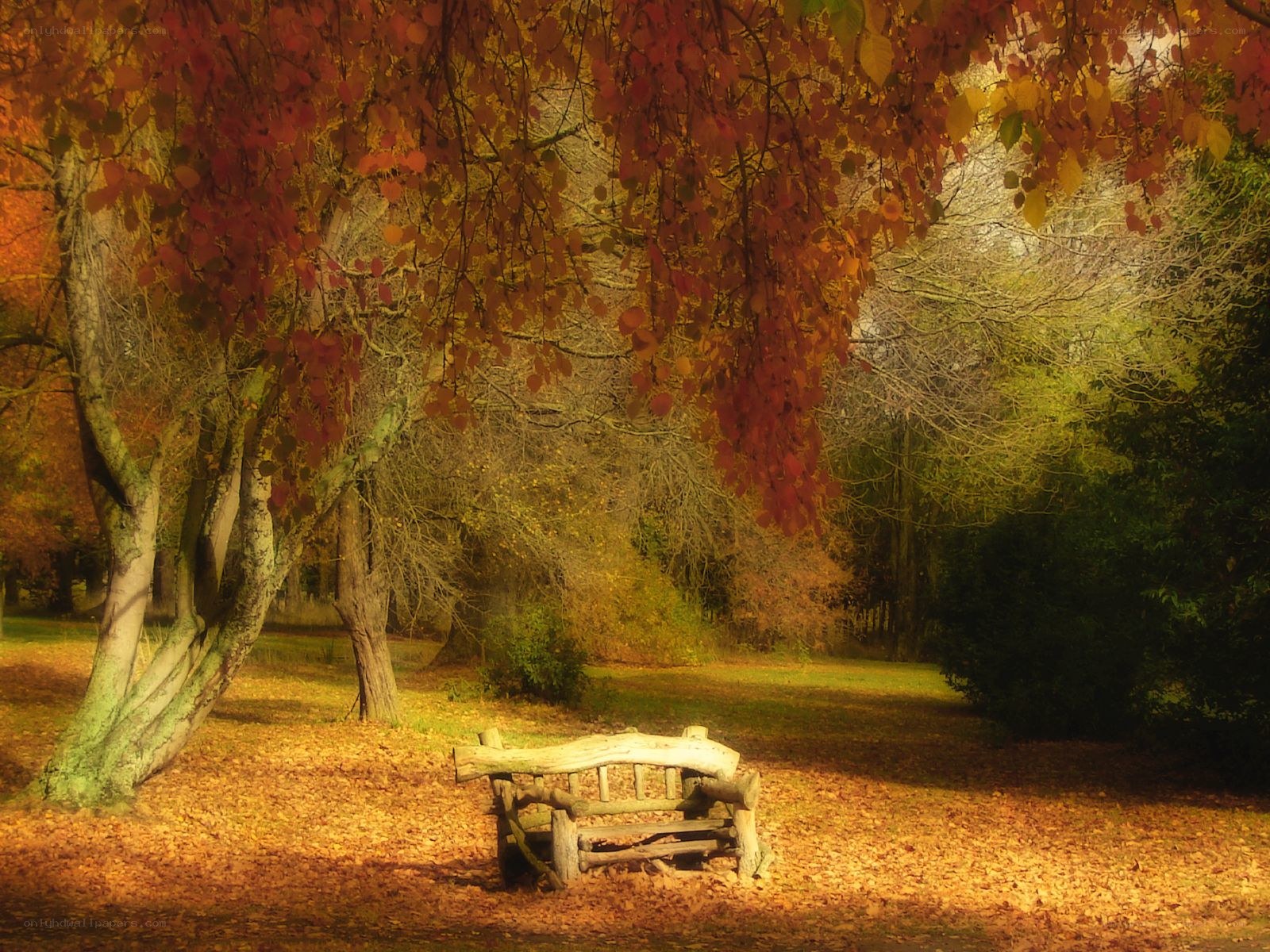 Autumn park bench