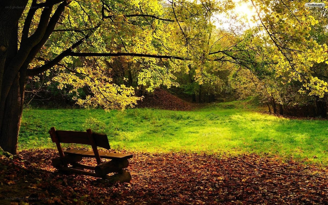 Autumn park bench