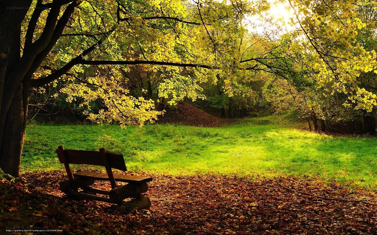 Autumn park bench