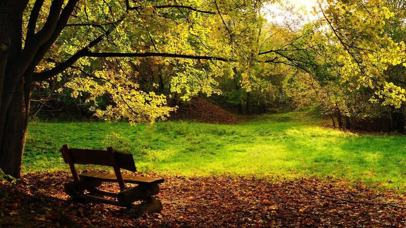 Autumn park bench